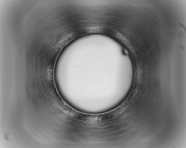X0000102260161200808151849