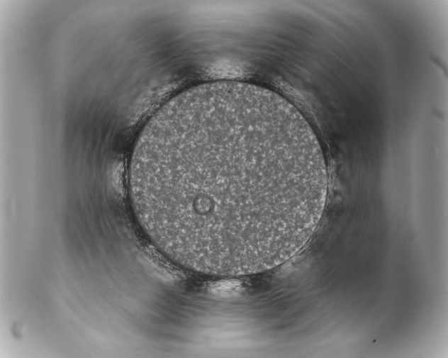 X0000102260162200808151849