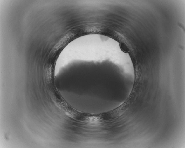 X0000102260163200808151849