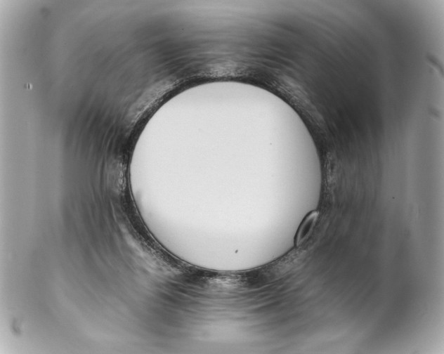 X0000102260164200808151849
