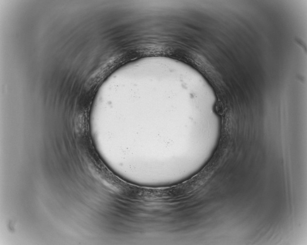 X0000102260165200808151849