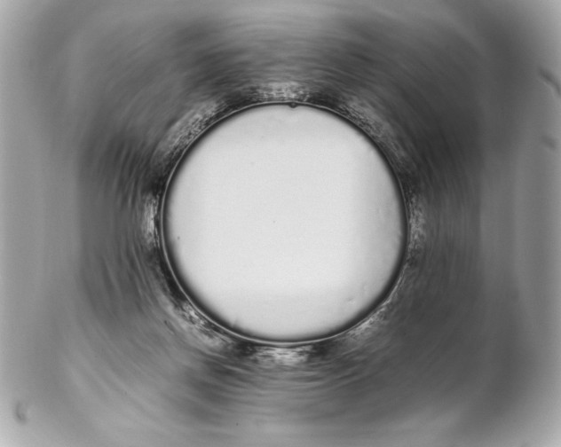 X0000102260166200808151849