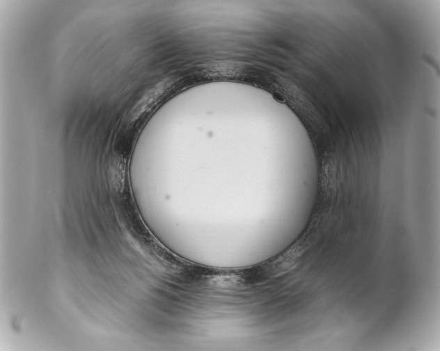 X0000102260168200808151849