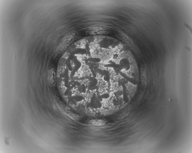 X0000102260169200808151849