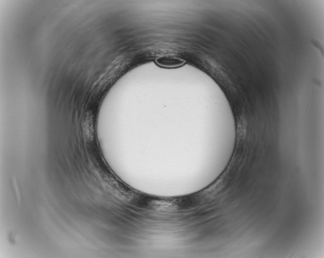X0000102260170200808151849