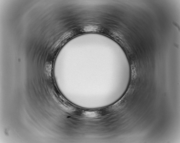 X0000102260171200808151849