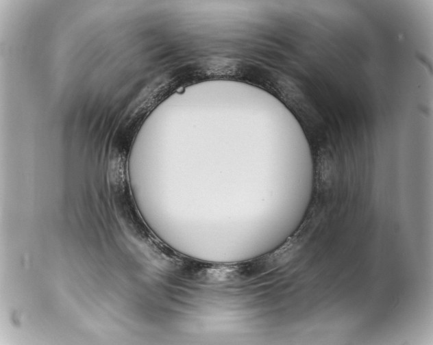 X0000102260172200808151849