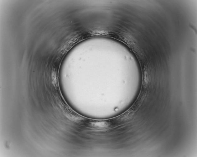 X0000102260173200808151849