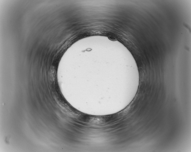 X0000102260174200808151849