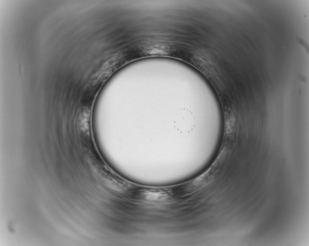 X0000102260175200808151849