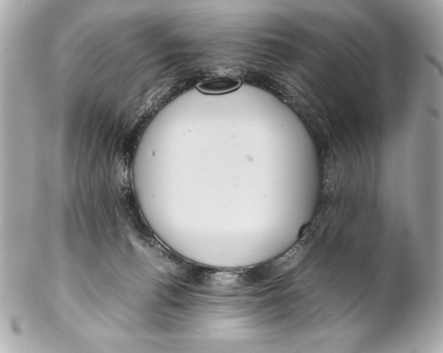 X0000102260176200808151849