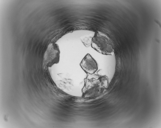 X0000102260177200808151849
