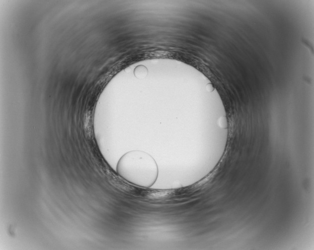 X0000102260178200808151849