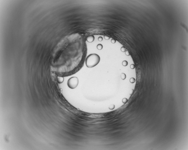 X0000102260179200808151849