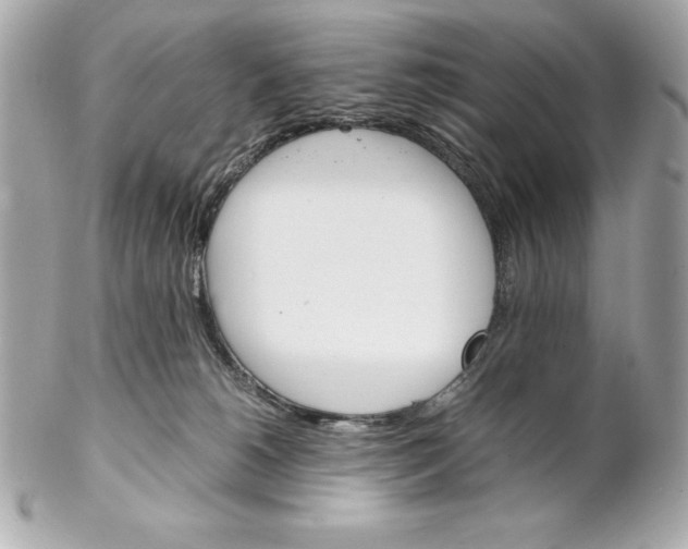 X0000102260180200808151849