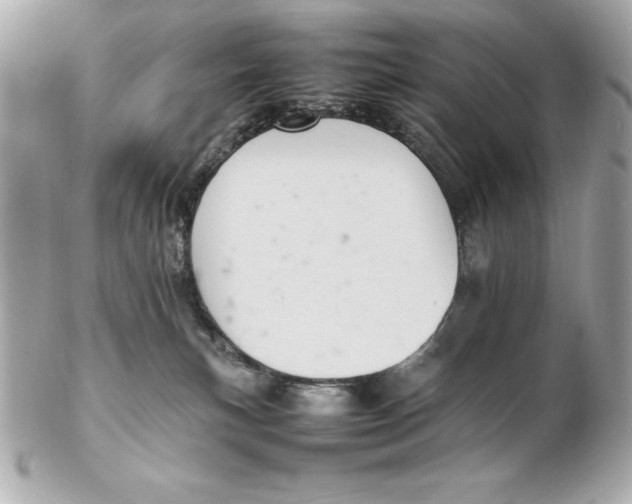X0000102260183200808151849