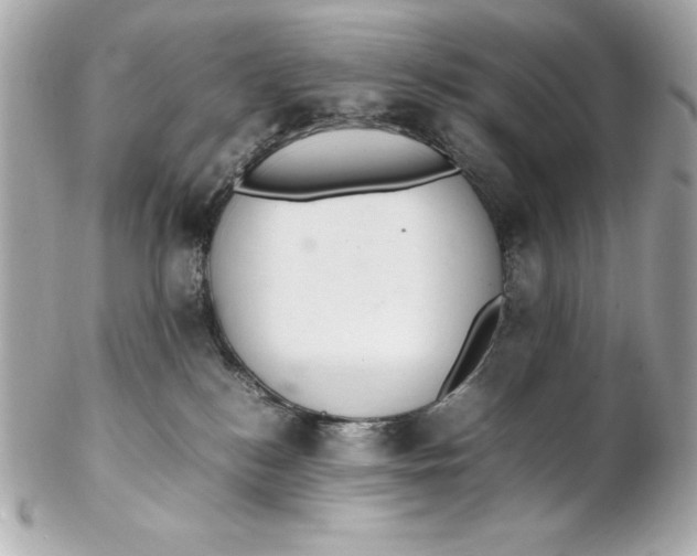 X0000102260184200808151849