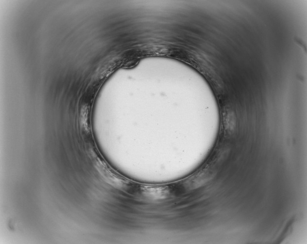 X0000102260185200808151849