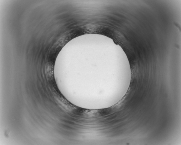 X0000102260186200808151849