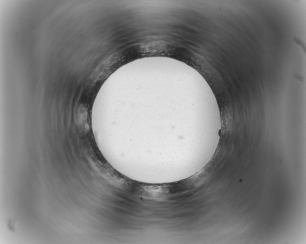 X0000102260187200808151849