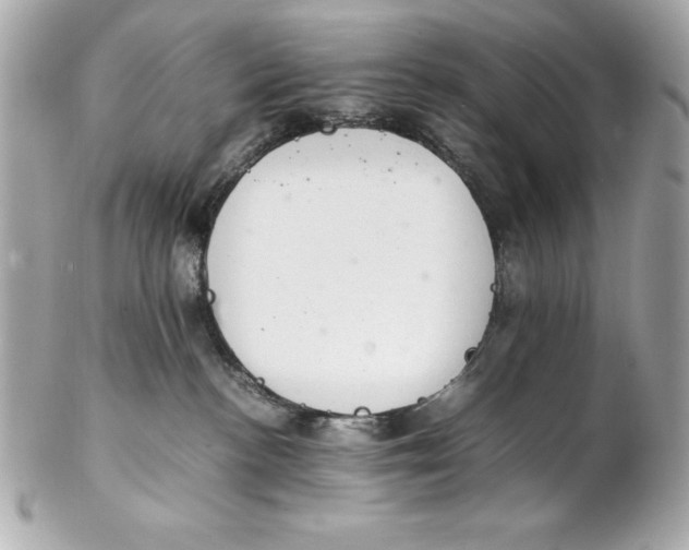 X0000102260188200808151849