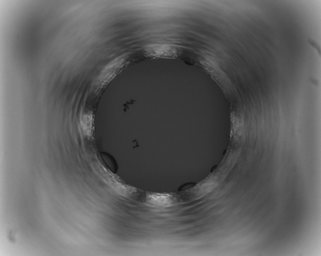 X0000102260189200808151849