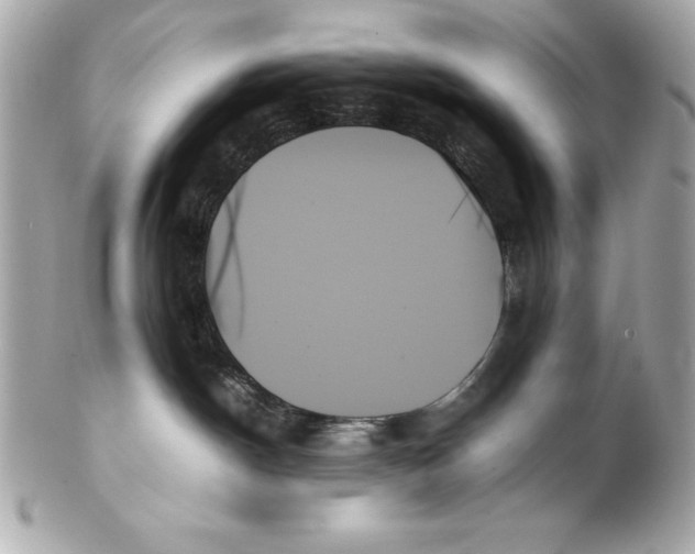 X0000102260190200808151849