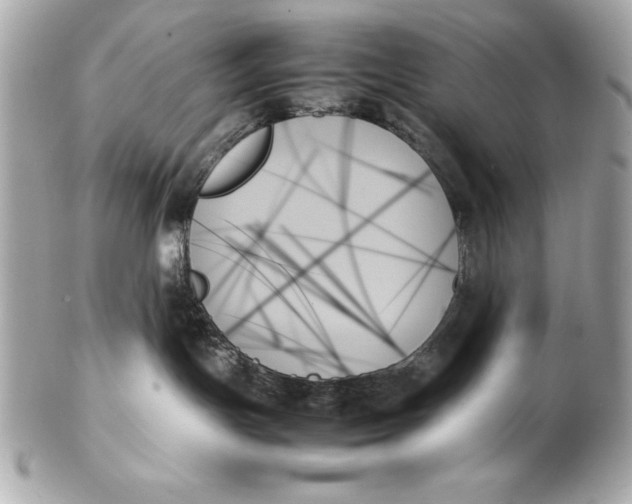 X0000102260191200808151849