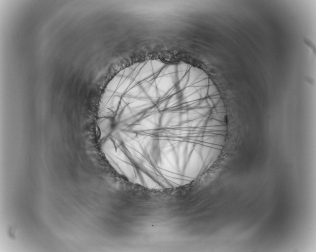X0000102260192200808151849