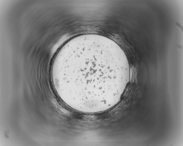 X0000102260195200808151848