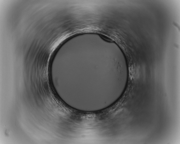 X0000102260196200808151848