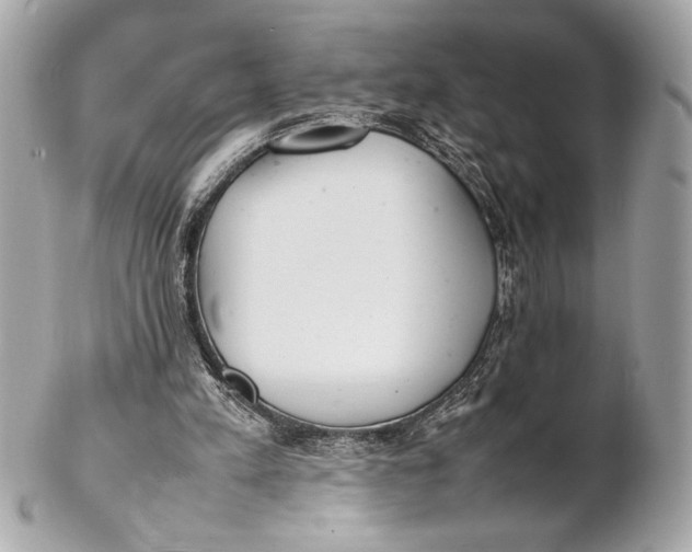 X0000102260197200808151848