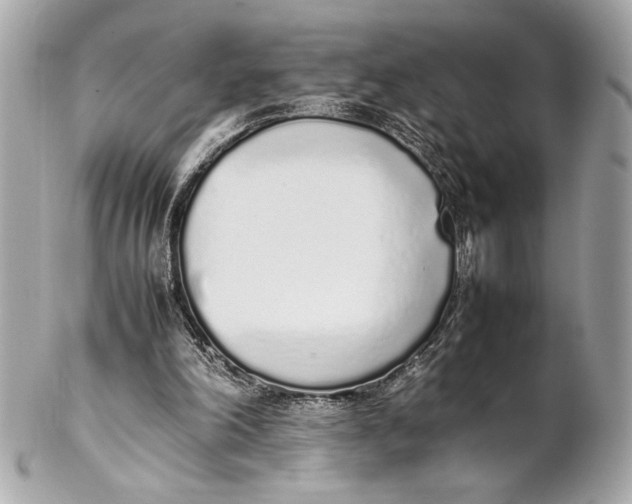 X0000102260198200808151848