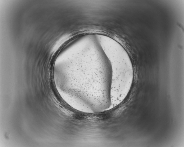 X0000102260199200808151848