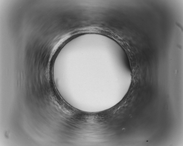 X0000102260200200808151848