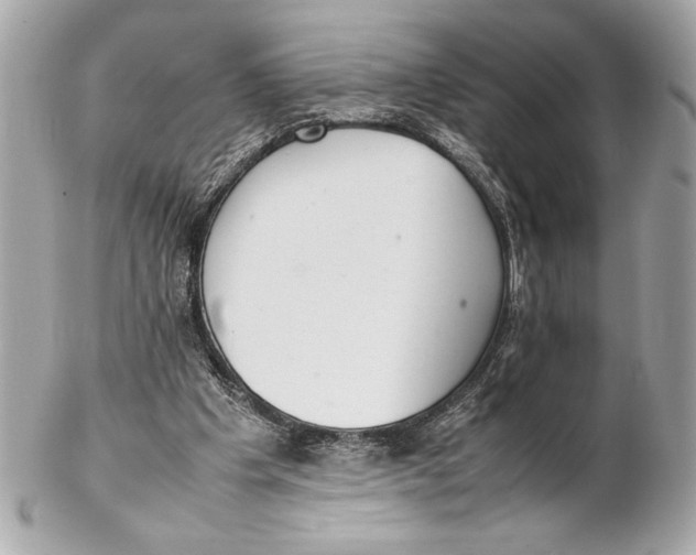 X0000102260201200808151848