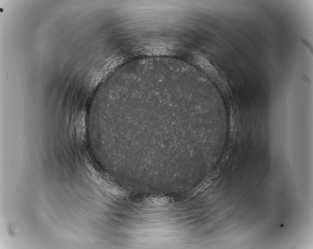 X0000102260202200808151848