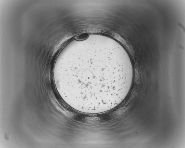 X0000102260203200808151848