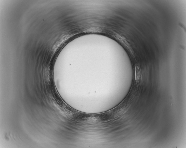 X0000102260204200808151848