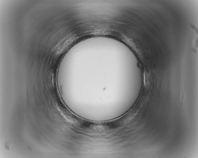 X0000102260205200808151848