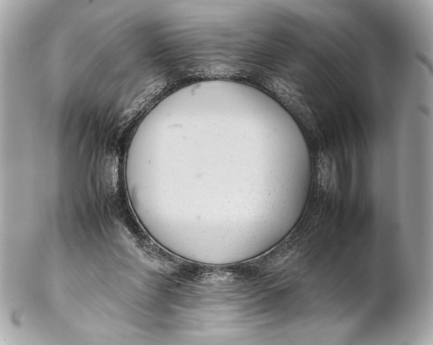 X0000102260206200808151848