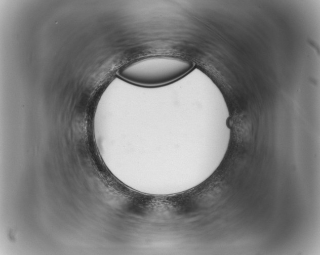 X0000102260207200808151848