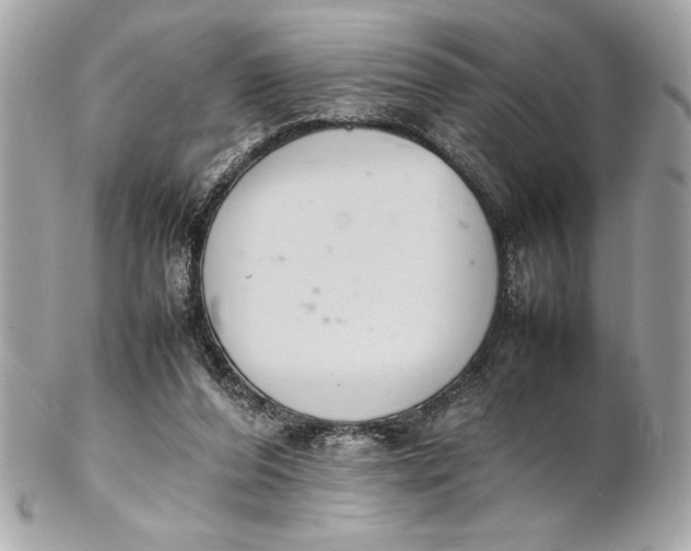 X0000102260208200808151848