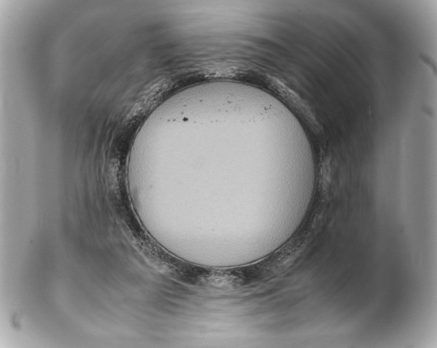 X0000102260209200808151848