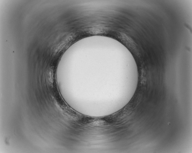 X0000102260210200808151848