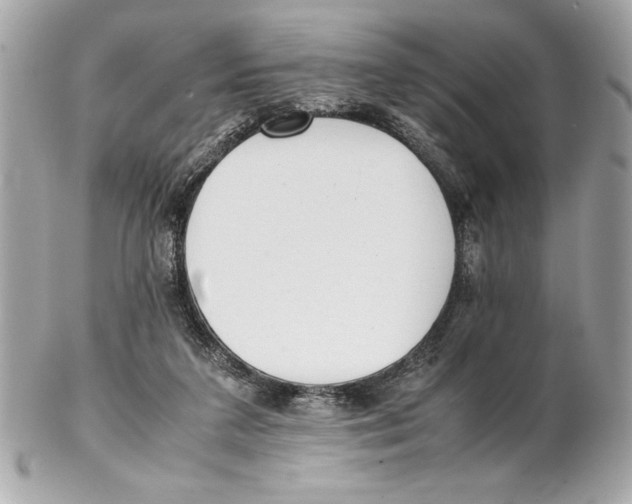 X0000102260211200808151848