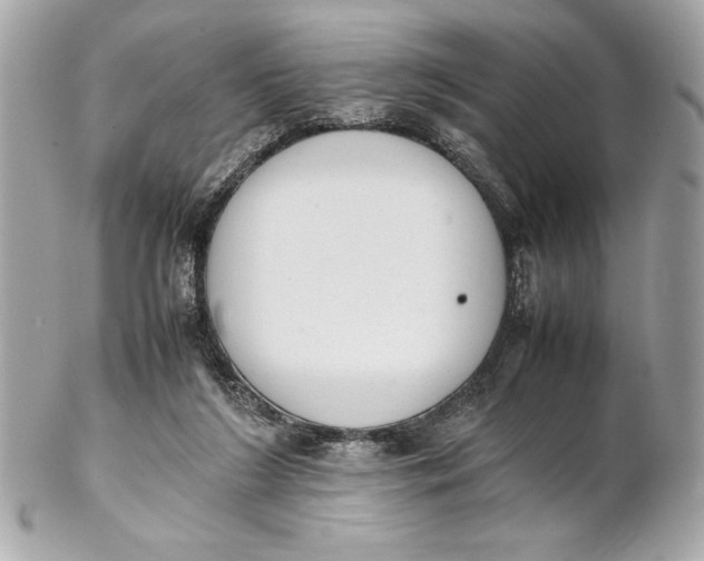 X0000102260212200808151848