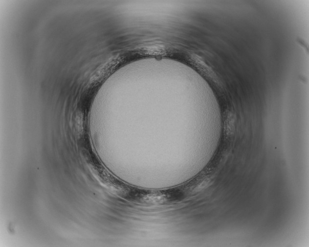 X0000102260213200808151848