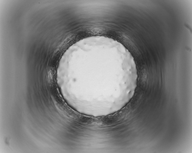X0000102260214200808151848