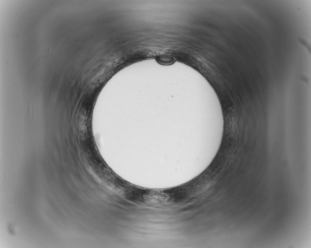 X0000102260215200808151848